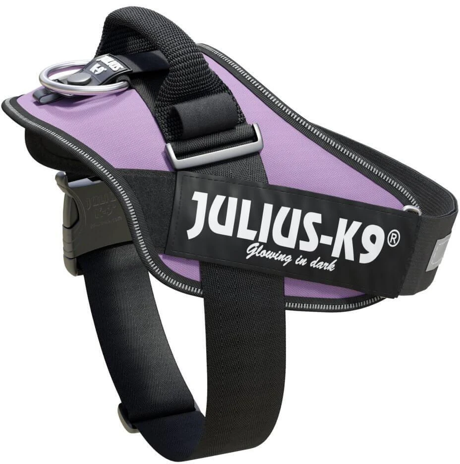 Julius-K9 IDC Powerharness Violetinė – Aukščiausios kokybės reguliuojamas diržas, 3 dydžio, patvarus dizainas