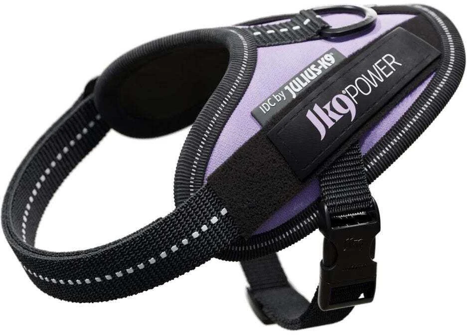 Julius-K9 IDC Powerharness Violetinė – Aukščiausios kokybės reguliuojamas diržas, 3 dydžio, patvarus dizainas