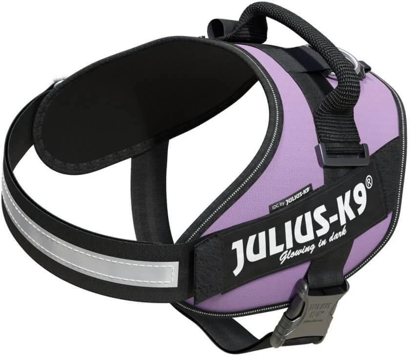 Julius-K9 IDC Powerharness Violetinė – Aukščiausios kokybės reguliuojamas diržas, 3 dydžio, patvarus dizainas