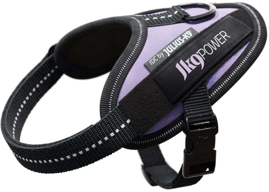 Julius-K9 IDC Powerharness Violetinė – Aukščiausios kokybės reguliuojamas diržas, 3 dydžio, patvarus dizainas