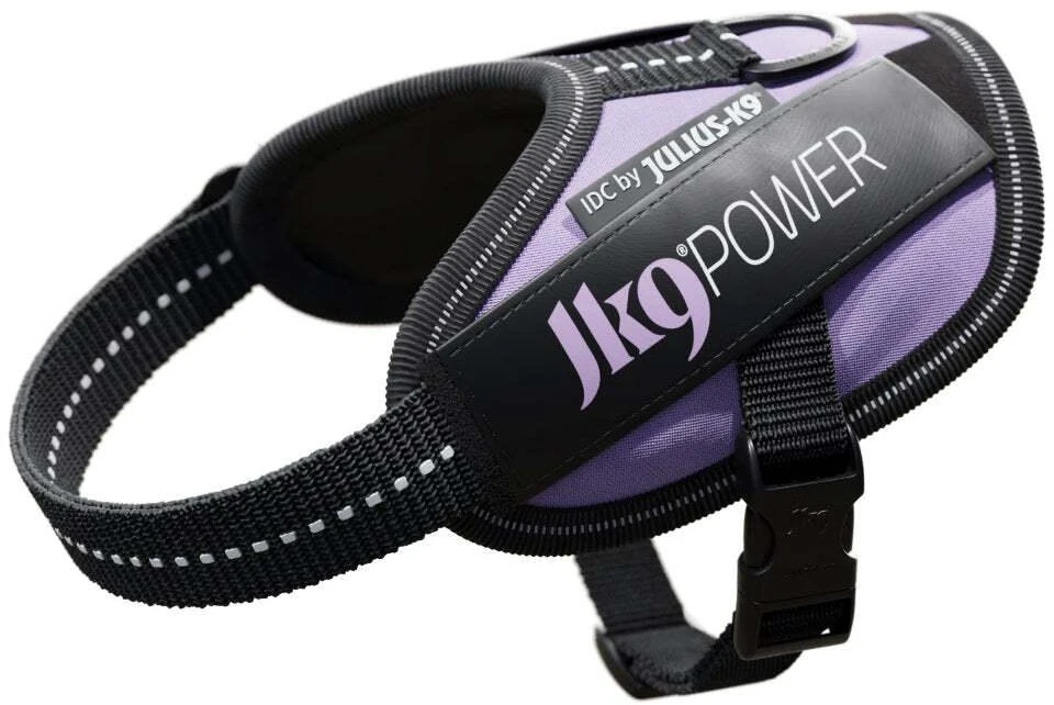 Julius-K9 IDC Powerharness Violetinė – Aukščiausios kokybės reguliuojamas diržas, 3 dydžio, patvarus dizainas