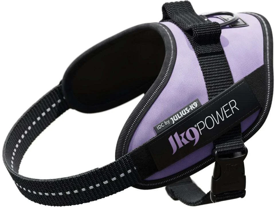 Julius-K9 IDC Powerharness Violetinė – Aukščiausios kokybės reguliuojamas diržas, 3 dydžio, patvarus dizainas