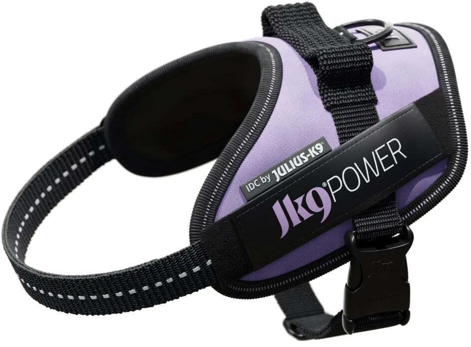 Julius-K9 IDC Powerharness Violetinė – Aukščiausios kokybės reguliuojamas diržas, 3 dydžio, patvarus dizainas
