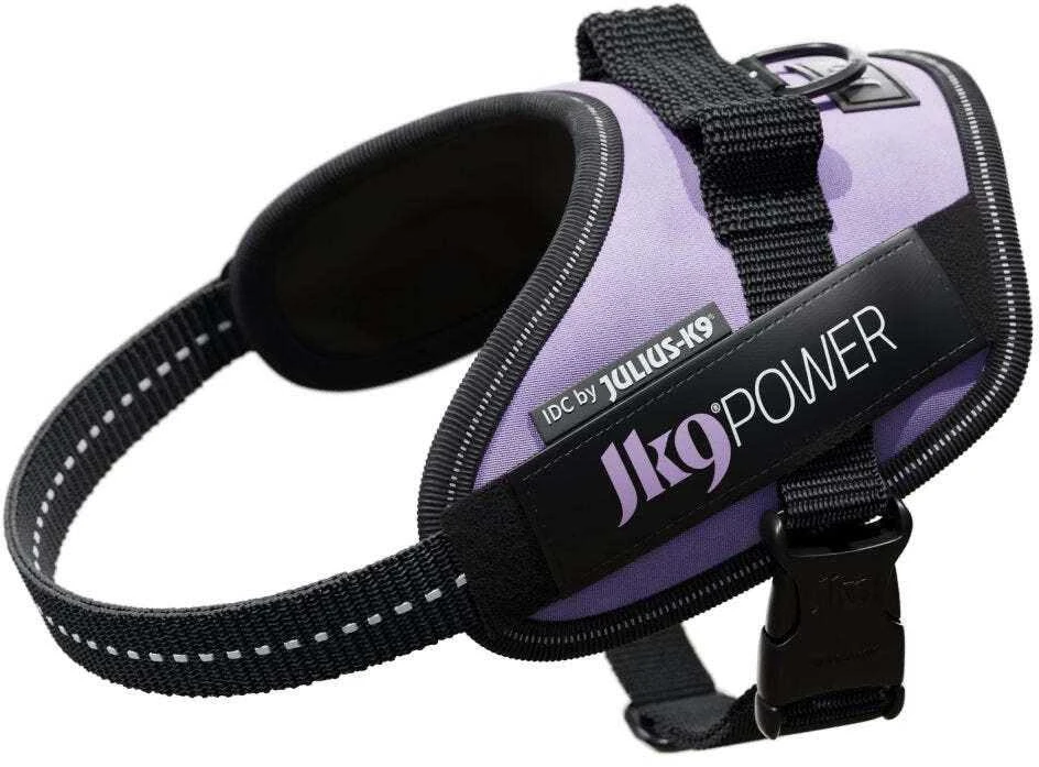 Julius-K9 IDC Powerharness Violetinė – Aukščiausios kokybės reguliuojamas diržas, 3 dydžio, patvarus dizainas