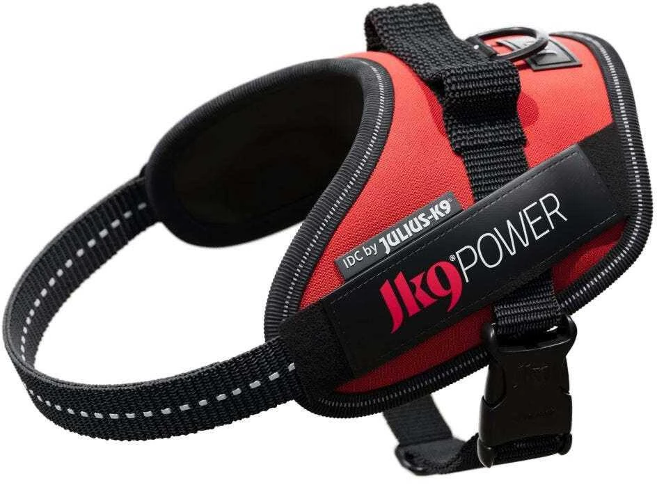 Julius-K9 IDC Raudona pakinktai – Premium reguliuojami šunų pakinktai, 3 dydis, patvarus dizainas