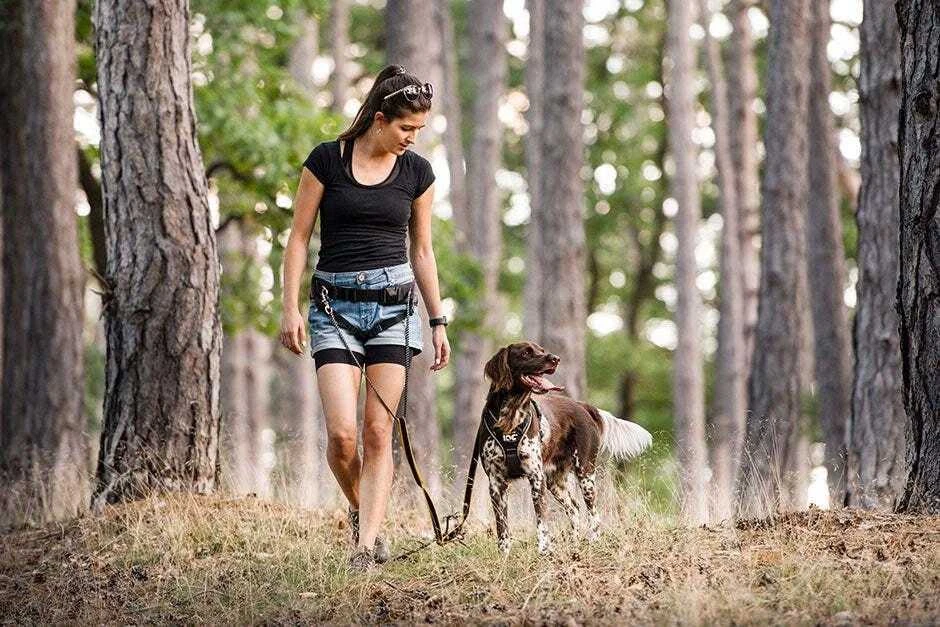 Julius K9 Julius K-9 Speed Diržas – Rankų laisvumo bėgimo klubo diržas, reguliuojamas, raudonas, lengvas dizainas