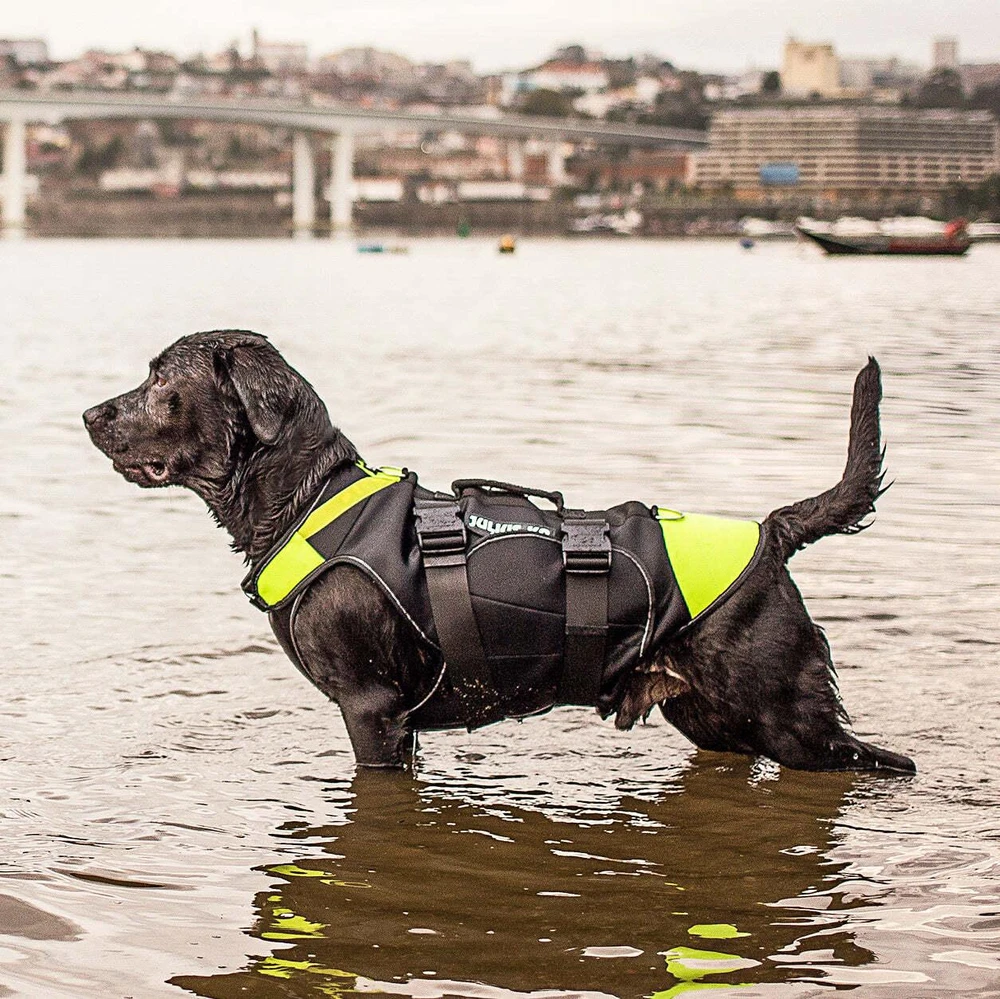 Julius-K9 Neono Daugiafunkcinė Liemenė – Lengvas Plaukimo ir Reabilitacijos Palaikymas, Dydis S