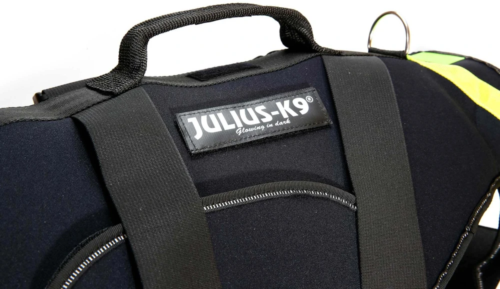 Julius-K9 Neono Daugiafunkcinė Liemenė – Lengvas Plaukimo ir Reabilitacijos Palaikymas, Dydis S