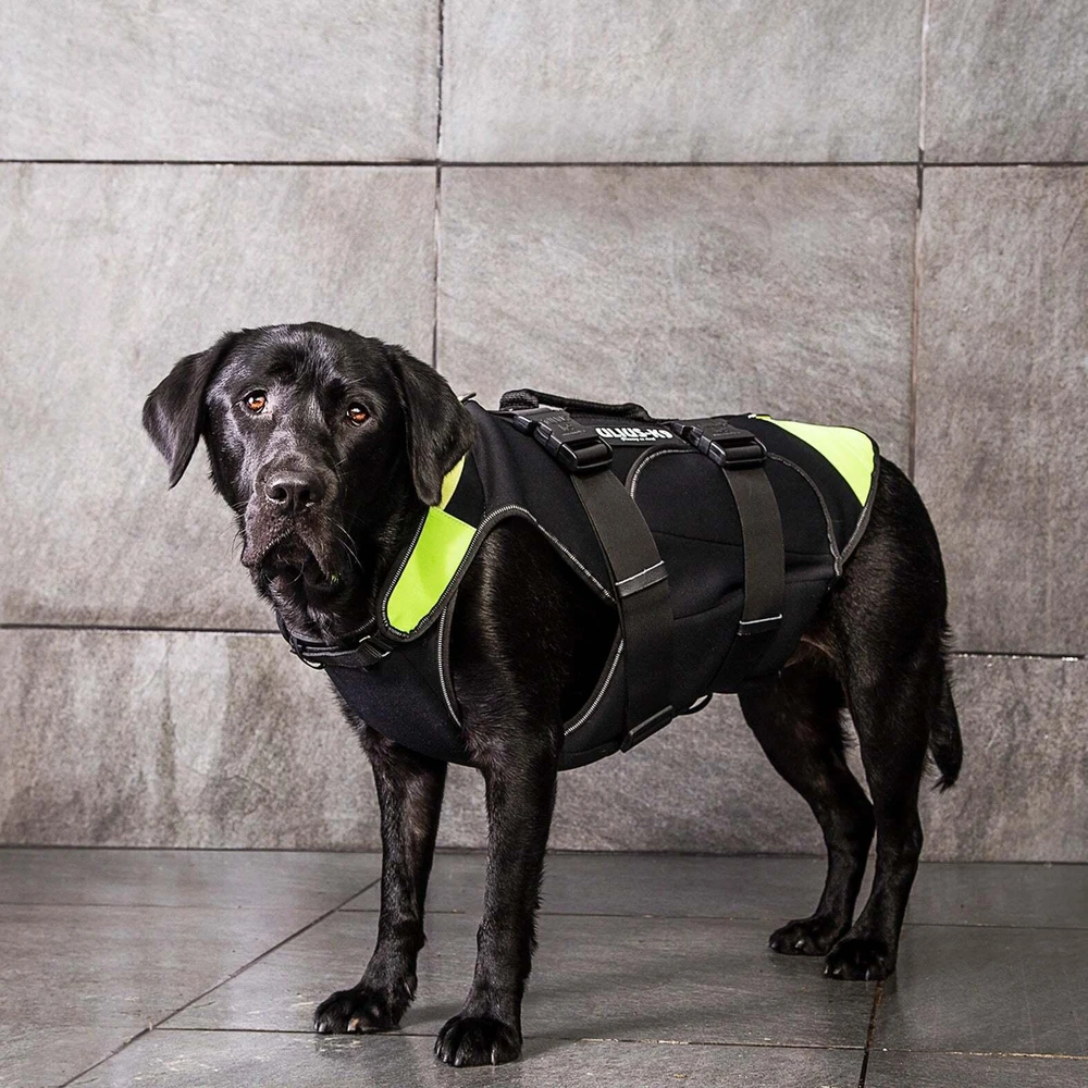 Julius-K9 Neono Daugiafunkcinė Liemenė – Lengvas Plaukimo ir Reabilitacijos Palaikymas, Dydis S