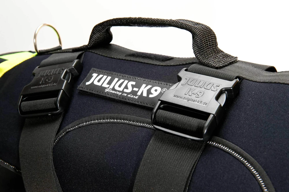 Julius-K9 Neono Daugiafunkcinė Liemenė – Lengvas Plaukimo ir Reabilitacijos Palaikymas, Dydis S