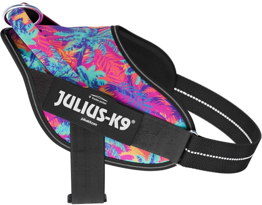 Julius-K9 Power & More Vibe Diržas – Adaptiškas pavadėlio žiedas, Palmių raštas, XS dydis