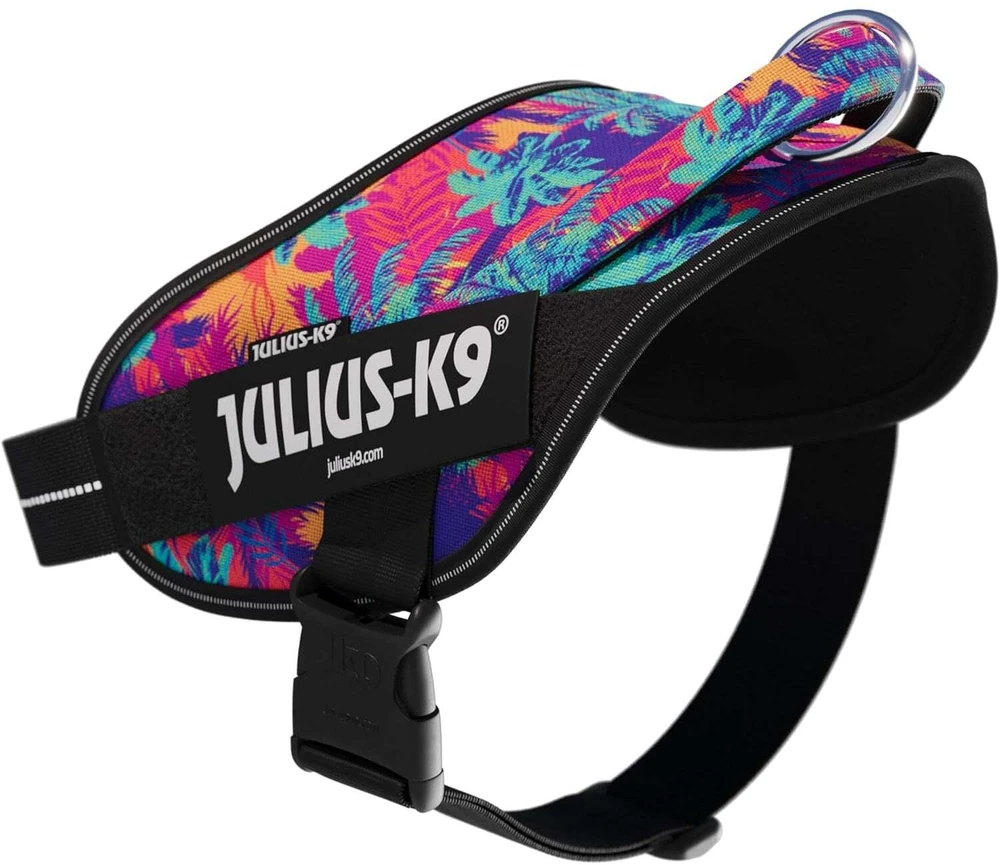 Julius-K9 Power & More Vibe Diržas – Adaptiškas pavadėlio žiedas, Palmių raštas, XS dydis
