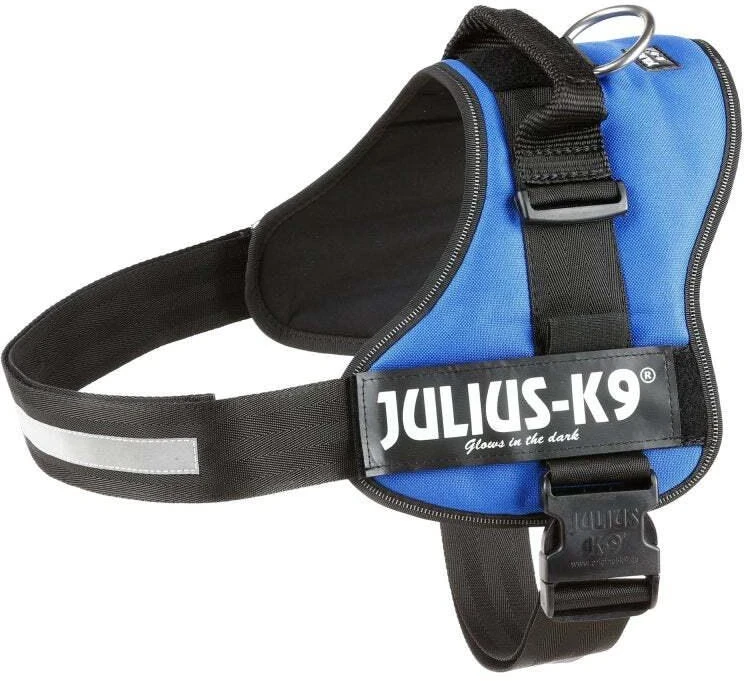 Julius K9 Powerharness Mėlynas – Reguliuojamas šunų pavadėlis su atšvaitinėmis juostelėmis, patvari konstrukcija