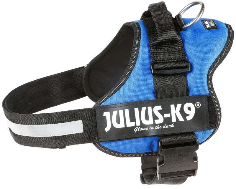 Julius K9 Powerharness Mėlynas – Reguliuojamas šunų pavadėlis su atšvaitinėmis juostelėmis, patvari konstrukcija