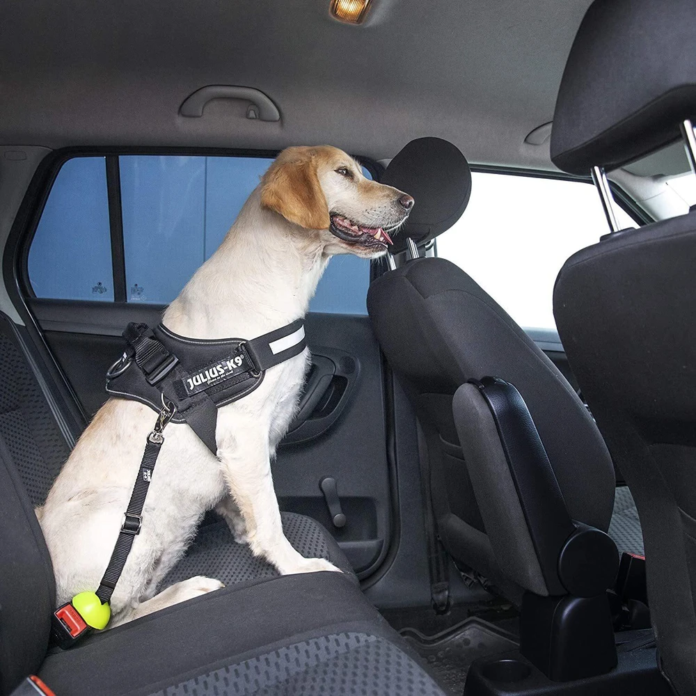 Julius-K9 StopDog Mobilumo Kontrolės Automobilinis Pavadėlis – Reguliuojamas Saugos Diržas, Patvarus Nailonas