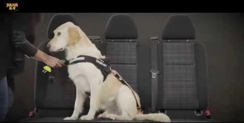 Julius-K9 StopDog Mobilumo Kontrolės Automobilinis Pavadėlis – Reguliuojamas Saugos Diržas, Patvarus Nailonas