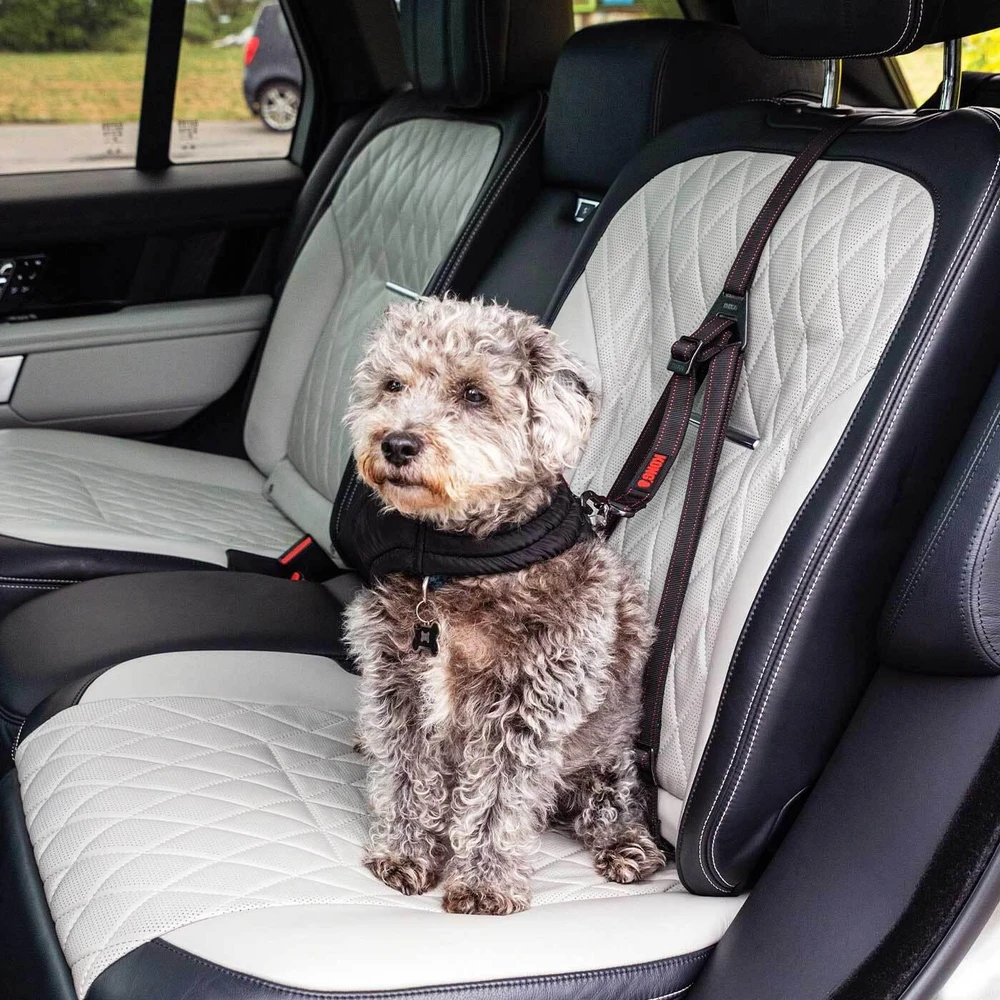 KONG kelioninis tvirtinimo diržas – trijų taškų reguliuojamas automobilio saugos diržas su ISOFIX suderinamumu
