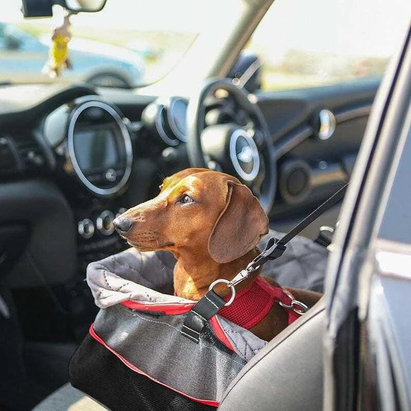 KONG Travel Secure Booster Seat – Paaukštinta automobilinė kėdutė, 40x30x20cm, tinka iki 12kg