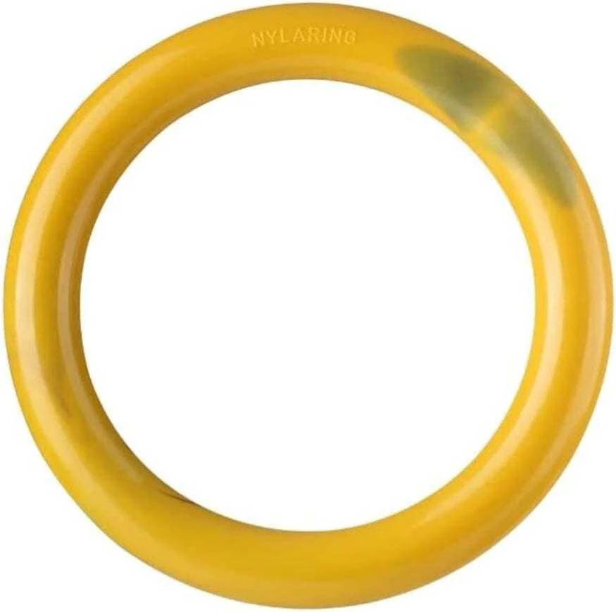 Nylabone Extreme Ring Chew L – Patvarus sūrio ir šoninės skonio kramtomasis žaislas, didelis dydis