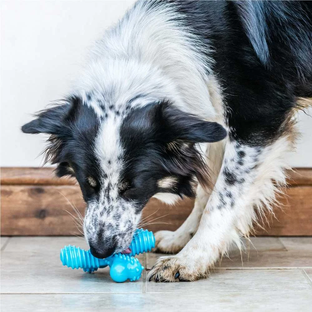 Nylabone Extreme X formos Jautienos kramtukas – didelis patvarus kietas kramtukas, jautienos skonio