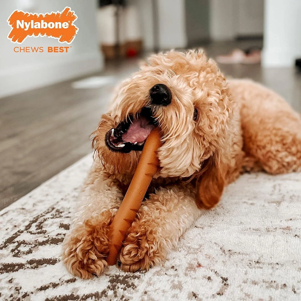 Nylabone Power Chew Bagelė – Kietas, vištienos kvapo kramtomasis žaislas, ilgaamžė konstrukcija
