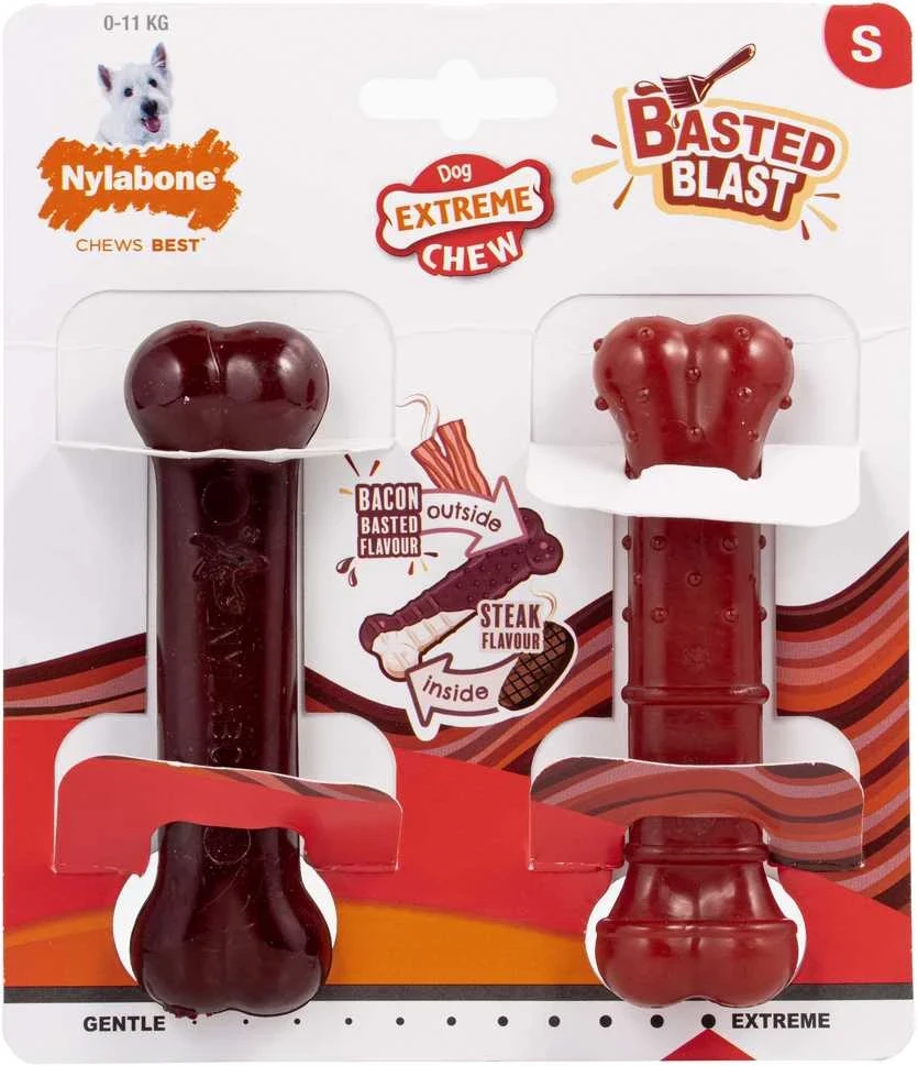 Nylabone Power Chew Basted Blast Bone XS – Kietas Dvigubo Skonio Šoninės ir Kepsninės Kramtomųjų Žaislų Rinkinys, 2 vnt.