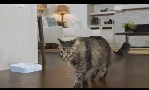 Petsafe 2 Meal Pet Feeder automatinė dviejų maitinimų šėrykla