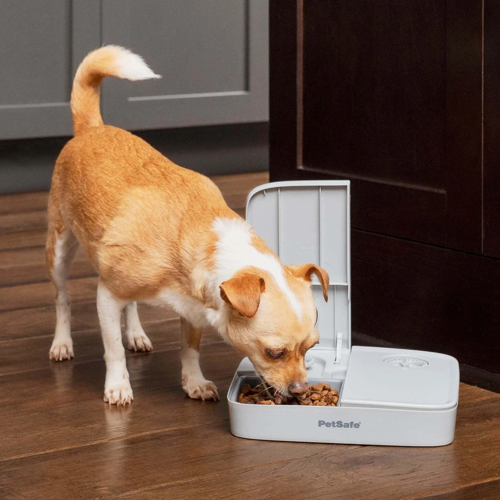 Petsafe 2 Meal Pet Feeder automatinė dviejų maitinimų šėrykla