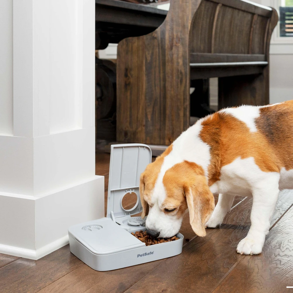 Petsafe 2 Meal Pet Feeder automatinė dviejų maitinimų šėrykla