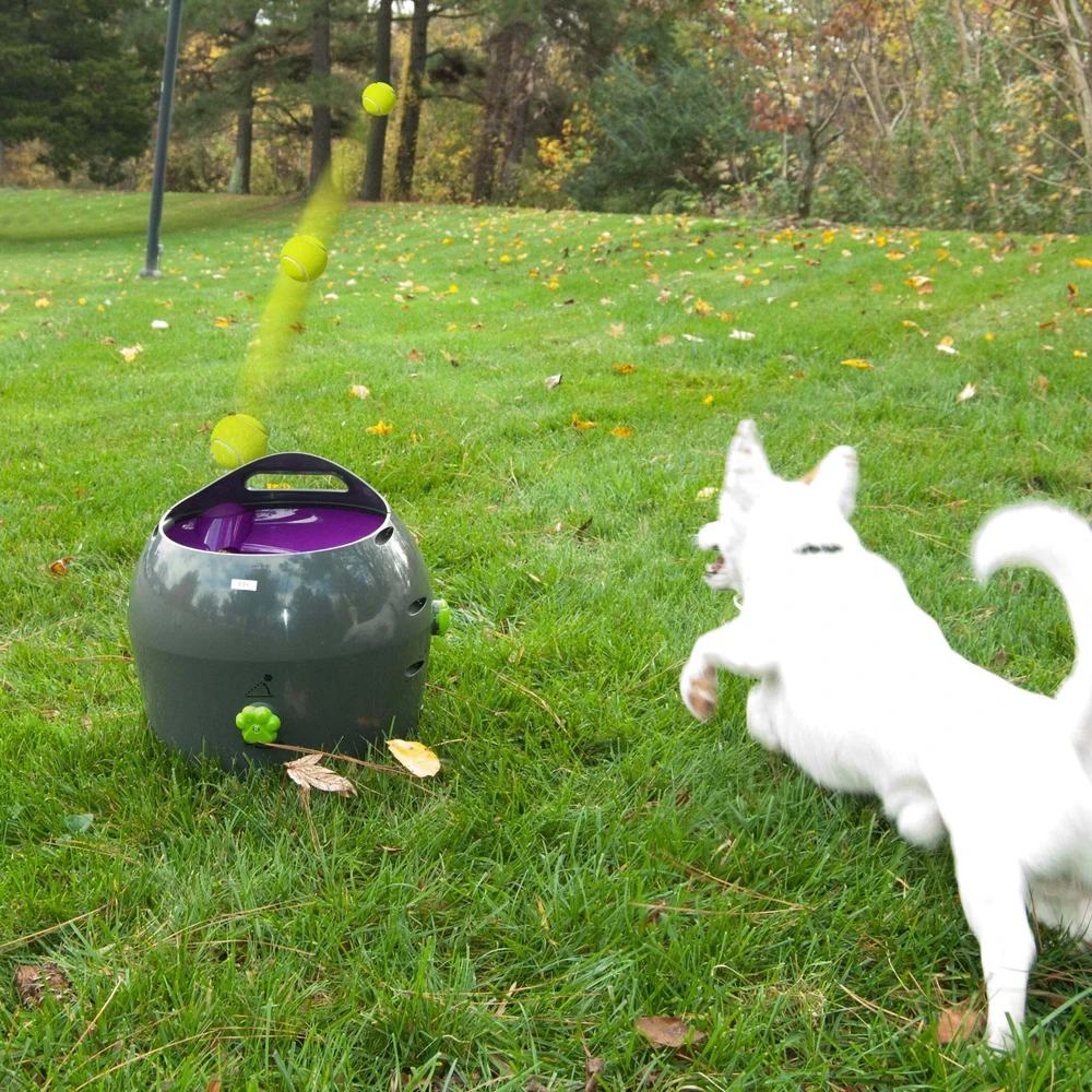 PetSafe Automatic Ball Launcher automatinis kamuoliukų mėtymo prietaisas šunims