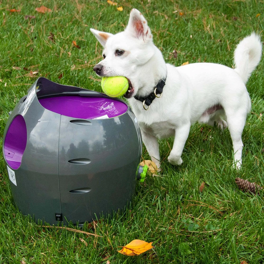 PetSafe Automatic Ball Launcher automatinis kamuoliukų mėtymo prietaisas šunims