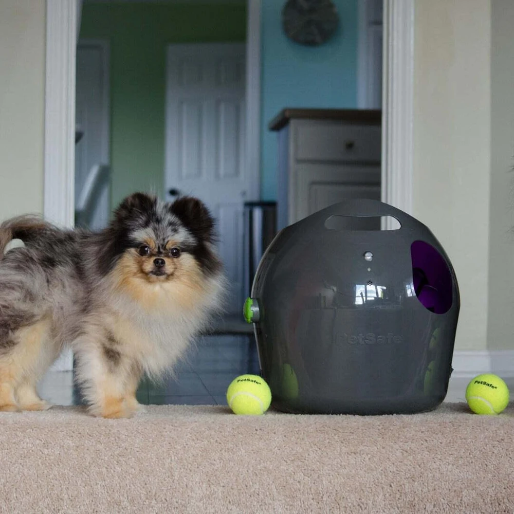 PetSafe Automatic Ball Launcher automatinis kamuoliukų mėtymo prietaisas šunims