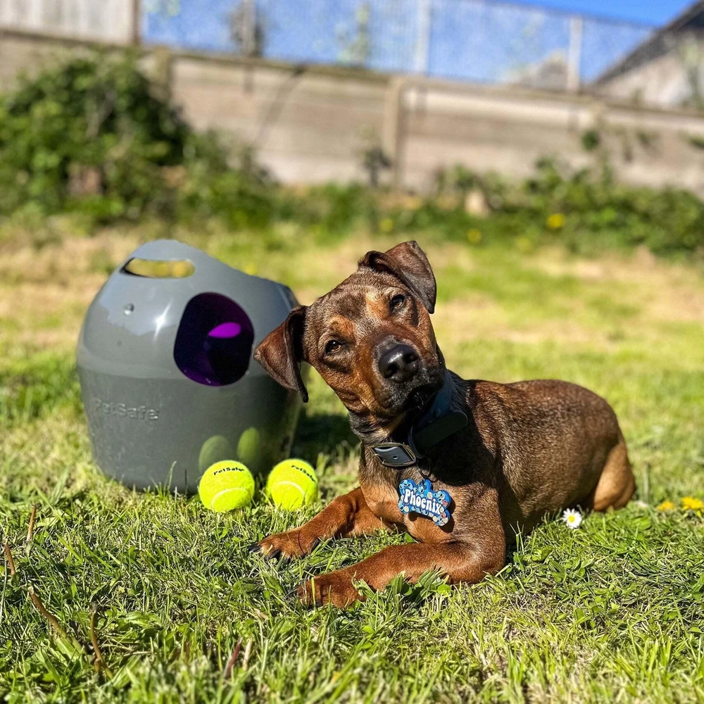 PetSafe Automatic Ball Launcher automatinis kamuoliukų mėtymo prietaisas šunims