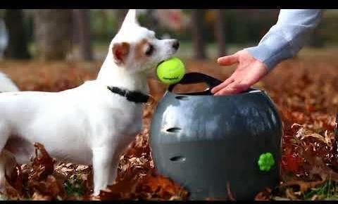 PetSafe Automatic Ball Launcher automatinis kamuoliukų mėtymo prietaisas šunims