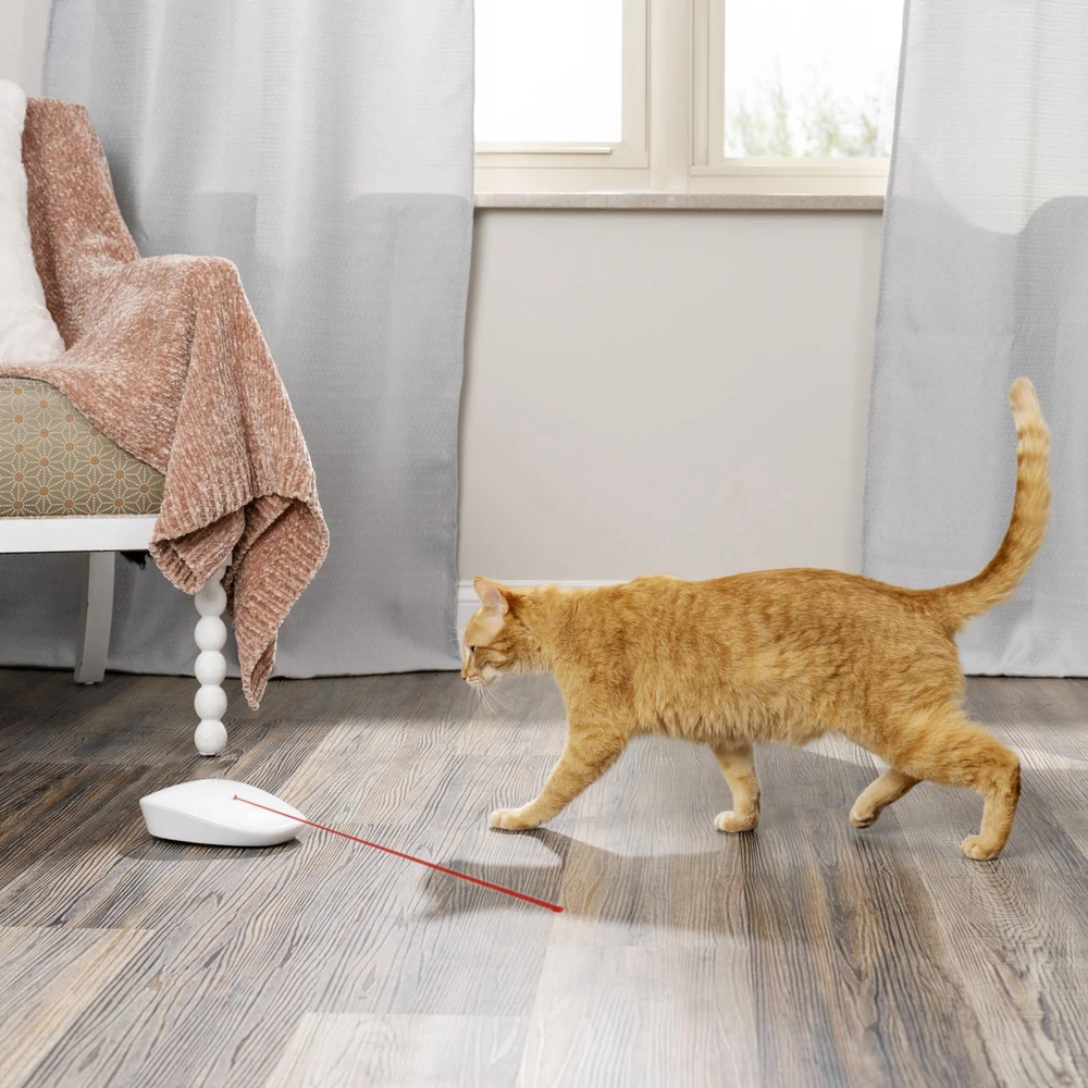 Petsafe lazerinis Tail Light