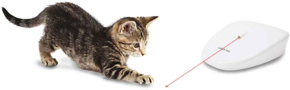 Petsafe lazerinis Tail Light