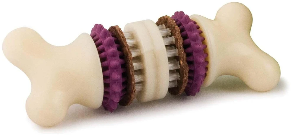 PetSafe Busy Buddy Bristle Bone kramtomasis žaislas – maži, dantų valymo dizaino su skanėstu