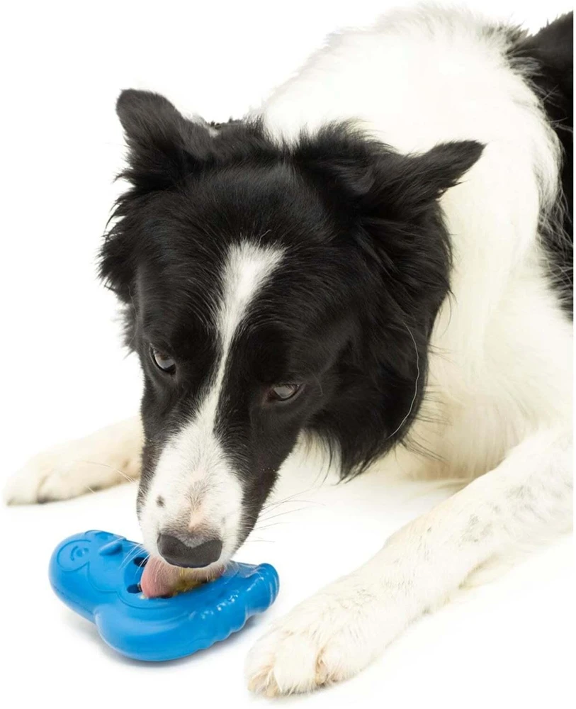 PetSafe Busy Buddy Chilly Penguin Šunų žaislas su šaldytais skanėstais – Patvaraus pingvino dizainas, vidutinis/didelis
