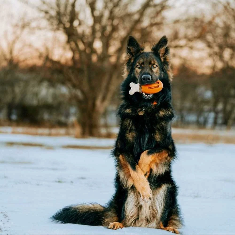 PetSafe Busy Buddy Chompin' Chicken šunų kramtomasis žaislas – Vištienos kojelės formos, mažas/vidutinis, patvarus dizainas