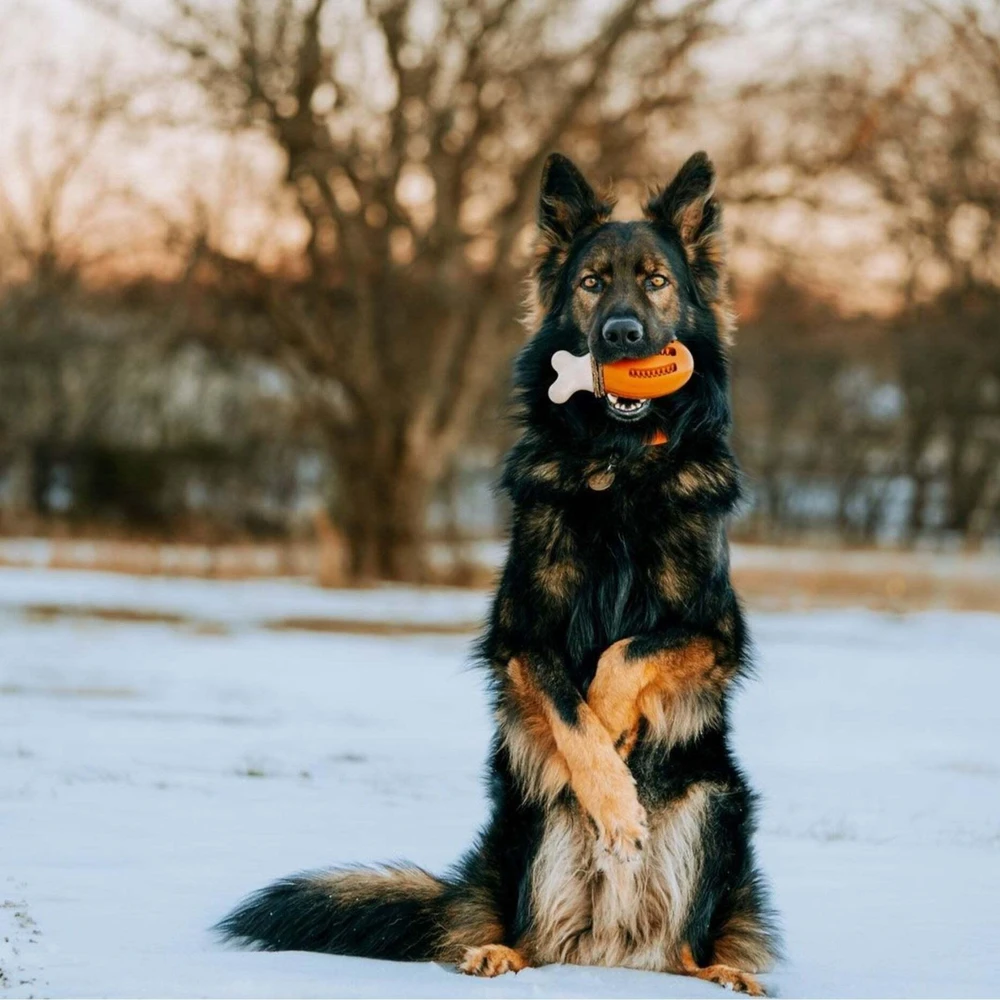 PetSafe Busy Buddy Chompin' Chicken šunų kramtomasis žaislas – Vištienos kojelės formos, mažas/vidutinis, patvarus dizainas