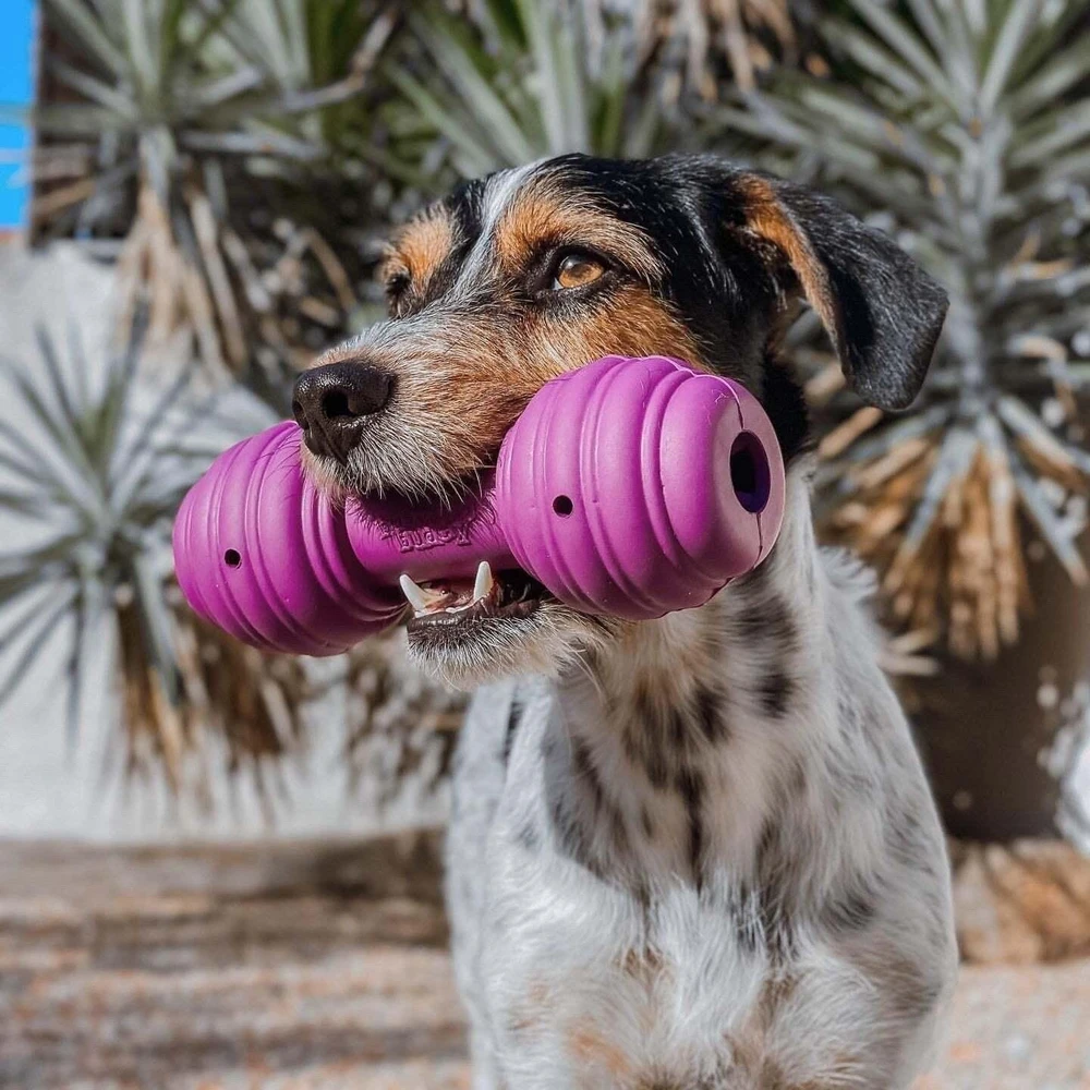 Petsafe Busy Buddy Chuckle guminis kaulas su cypuku dideliems šunims