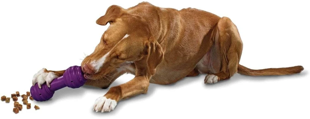 Petsafe Busy Buddy Chuckle guminis kaulas su cypuku dideliems šunims