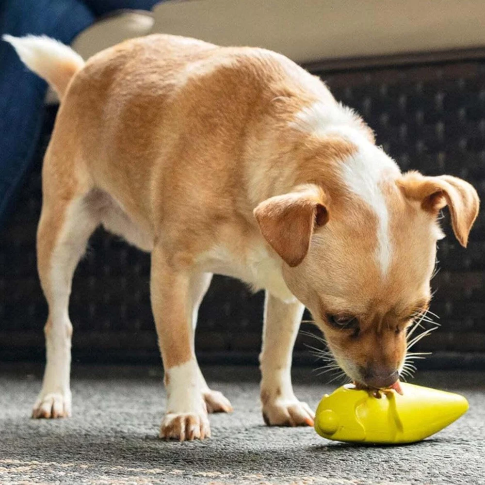 PetSafe Busy Buddy Frosty Cone – Žaislas kramtymui su šaldytais skanėstais, ledų formos, vidutinio/didumo, patvarus