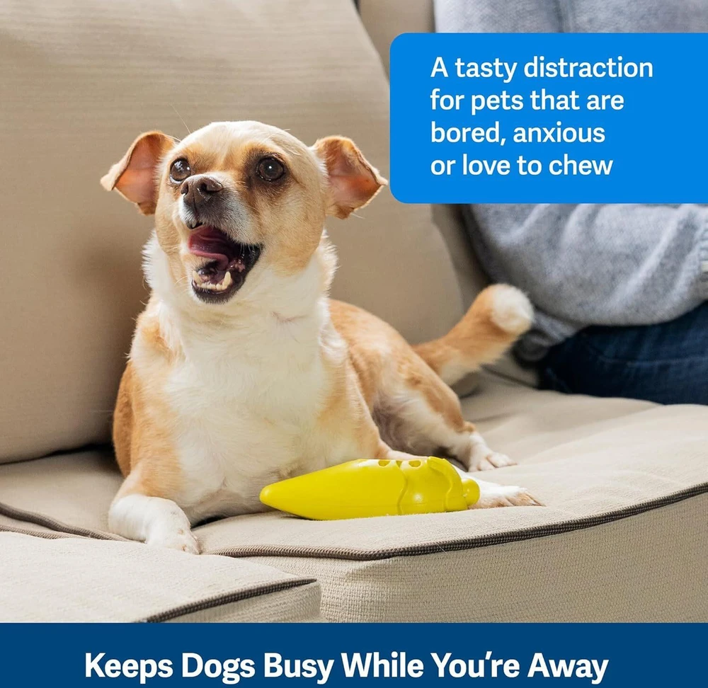PetSafe Busy Buddy Frosty Cone – Žaislas kramtymui su šaldytais skanėstais, ledų formos, vidutinio/didumo, patvarus