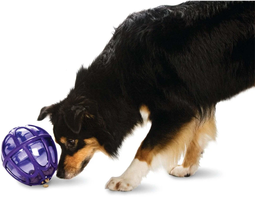 PetSafe Busy Buddy Kibble Nibble skanėstų žaisliukas – mažas, kiaušinio formos, patvarus dozatorius
