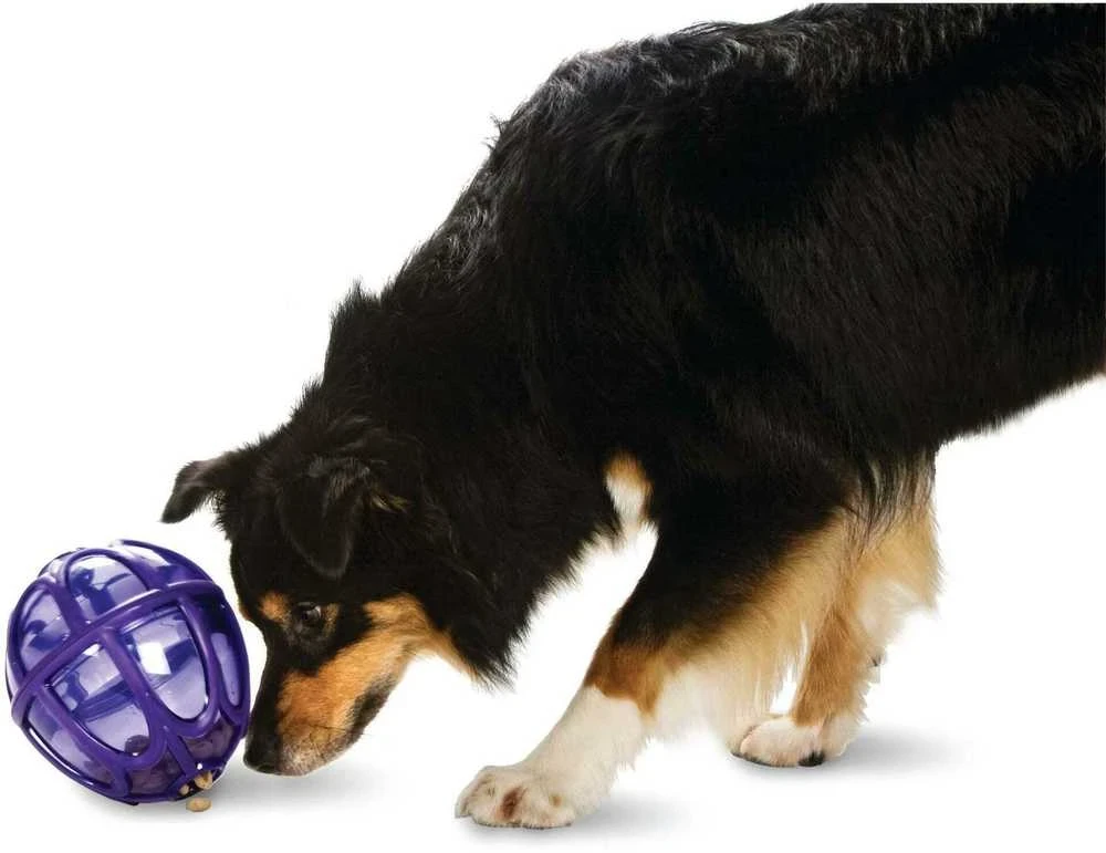 PetSafe Busy Buddy Kibble Nibble skanėstų žaisliukas – mažas, kiaušinio formos, patvarus dozatorius