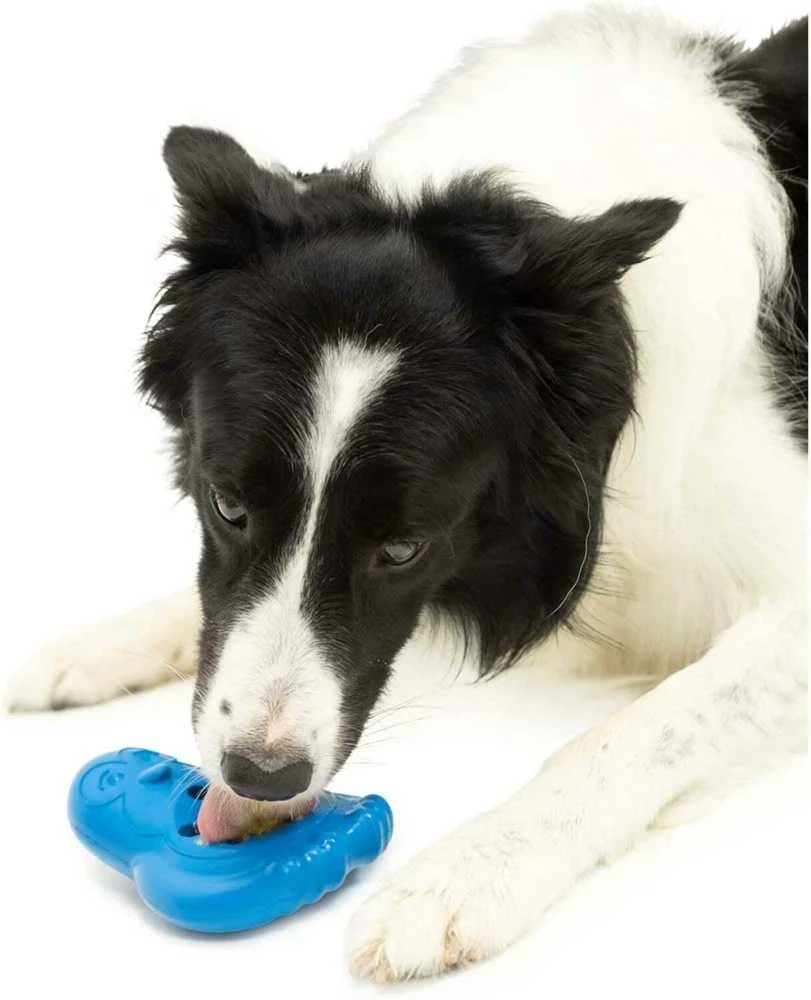 PetSafe Busy Buddy Chilly Penguin Šunų žaislas su šaldytais skanėstais – Patvaraus pingvino dizainas, vidutinis/didelis