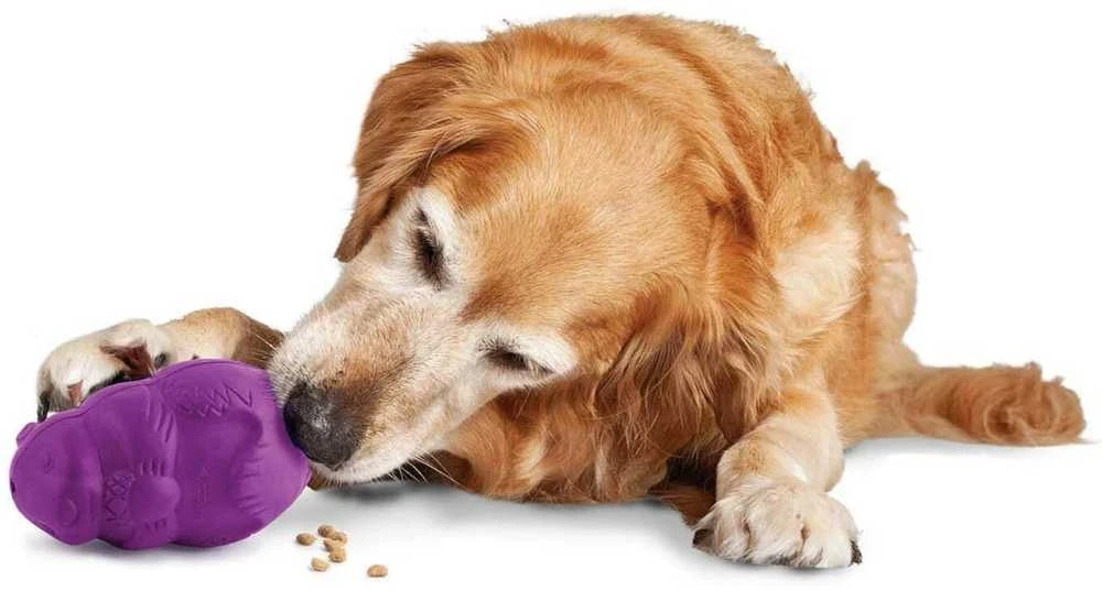 PetSafe Busy Buddy Squirrel Dude – Tvirtas šunų smaguris kramtomasis žaislas, mažas dydis, įtraukiantis dizainas