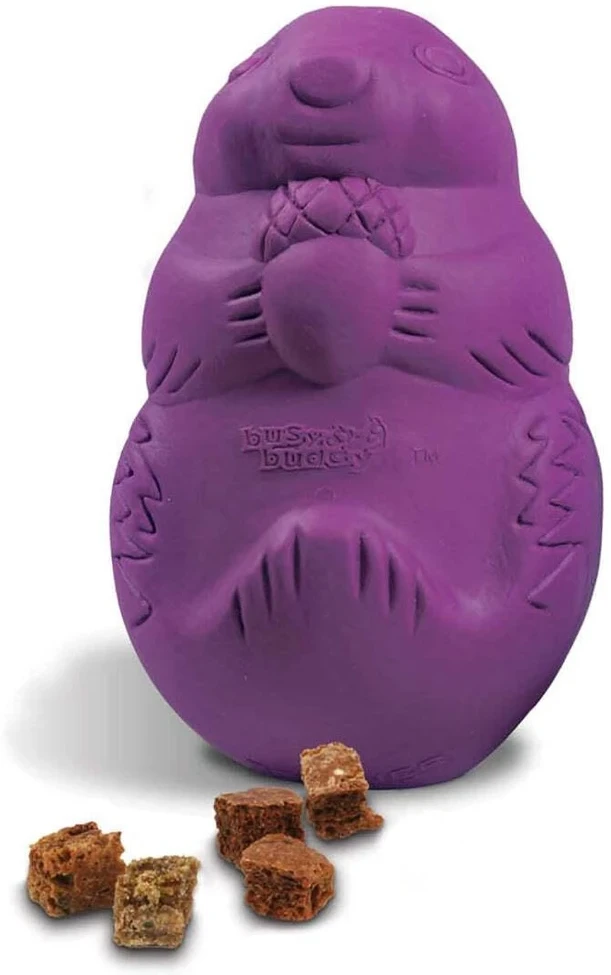 PetSafe Busy Buddy Squirrel Dude – Tvirtas šunų smaguris kramtomasis žaislas, mažas dydis, įtraukiantis dizainas