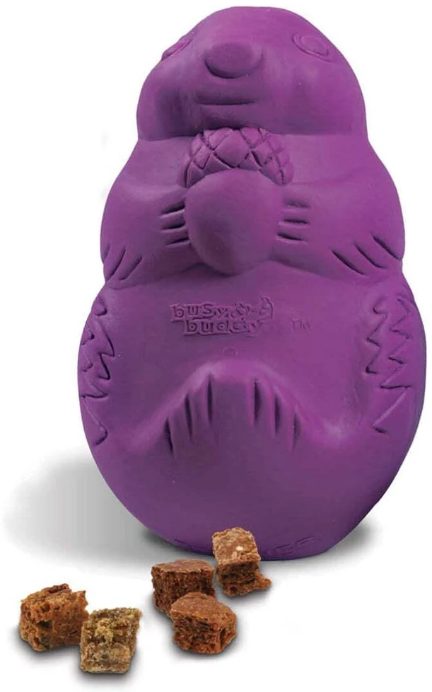 PetSafe Busy Buddy Squirrel Dude – Tvirtas šunų smaguris kramtomasis žaislas, mažas dydis, įtraukiantis dizainas